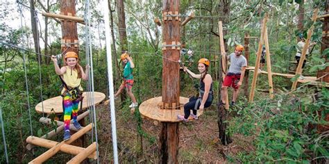 treetops gosford|Adventure Activities & Great Things To Do